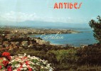 06 - ANTIBES - Vue Générale - Antibes - Old Town