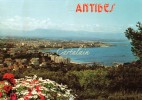 06 - ANTIBES - Vue Générale - Antibes - Altstadt