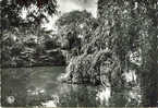 Waregem Carmel St. - Joseph Rustoord Maison De Repos Zicht Op De Vijer Vue Sur L´Etang - Waregem