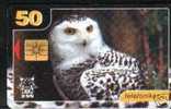 Télécarte Hibou - Estonie - 50 Unités - Carte à Puce - Ref 9692 - Owls