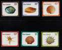 NEW ZEALAND 1975 (8) SHELLS SET OF 6 NHM - Other & Unclassified