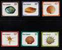 NEW ZEALAND 1975 (8) SHELLS SET OF 6 NHM - Autres & Non Classés