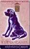 Animal - Fauna - Animals - Hund -  Perro - Chien - Cane - Dogs - Hungarian Card With Dog KUTYA-CANIS - Hunde