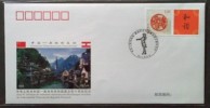 PFTN.WJ2011-05 CHINA-AUSTRIA DIPLOMATIC COMM.COVER - Lettres & Documents