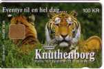 KNUTHENBORG BEER ( Denmark Rare Card ) * Biere Bier Cerveza Bier Birra Pils Beers Biers * Tiger Tigre Tigresse Tigers - Danemark