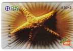 Undersea – Starfish – Seestern – Estrella De Mar – Asterie – Etoile De Mer – Stella Di Mare - Shell - Fische