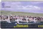 Boat - Ship  - Match Race  - Glider - Sail - Sailboat - Sailing Boat - Falkland  Islands - Isole Falkland