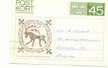 Postcard 45 Ore Met Dier - Other & Unclassified