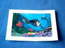 Lithographie Finding Nemo De Walt Disney - état Impeccable - Dimensions: 21 * 30 Cm - Ref 9989 - Autres & Non Classés