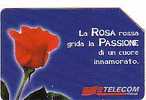 ITALIE MAGNIFIQUE CARTE ROSE FLEUR DE LA PASSION - Blumen