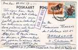 2195. Postal SOUTH AFRICA 1957 Durban A Barcelona - Briefe U. Dokumente