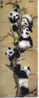 Bear - PANDA - Grizzly - Animal - Fauna -  Bears - Ours - Beautifull PUZZLE Set Of 4.cards With PANDAS - Dschungel