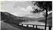 BLICK Auf BRIEDEL A.D. MOSEL - Cochem