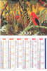 Calendrier An 2000 - Illustration Alain Thomas - ( Pub. Pharmacie ) - Sonstige & Ohne Zuordnung