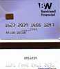 CARTE A PUCE   MAGNET BANKING CARD SPECIMEN BANKWELL FINANCIAL VERSO NUMEROTEE RARE - Exhibition Cards