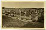 Fère-Champenoise - Vue D´ensemble Du Cimetière Militaire - Fère-Champenoise