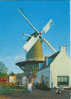 SLUIS HOLLAND : Molen - Moulins à Vent