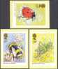 Set Of 5 Insects - Bugs And Beetles - Insectes