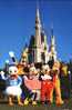 Disney World: Mickey Mouse, Pluto, Goofy, Donald Duck - Disneyworld