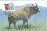 CHINE CARTE  MAXIMUM       NUM.YVERT 3050 ANIMAUX SAUVAGES A CORNES - Cartoline Maximum