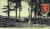 93- VILLEMOMBLE - Vu à TRAVERS LES PINS - Coll A Moquet , Le Raincy-1909 - Villemomble