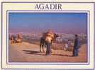 Agadir Vue De La Baie - Agadir