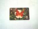 Télécarte Papillon Orange Sur Fleur Blanche - Brésil - Fournisseur: Telepara - 20 Unités - En Parfait état - Déjà Utilis - Mariposas