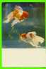 ANIMAUX - CARASSIUS AURATUS - GOLDEN FISH - POISSON ROUGE - - Vissen & Schaaldieren