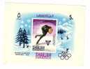 BLOC SUR LE THEME  DES JEUX OLYMPIQUES HIVER PATINAGE DE VITESSE LOT 11C GRENOBLE 1968 SAHRJAH - Inverno1968: Grenoble