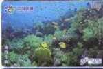 Animal - Undersea - Underwatter - Marine Life - Fish - Sea Life - Sea Bed Landscape - Fish