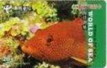 Animal - Undersea - Underwatter - Marine Life - Fishes - Sea Life - Fish- Fisch –poisson- Pez- Pesci - Red Fish - Fish