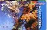 Animals - Undersea - Underwatter - Marine Life - Fishes - Sea Life - Landscapes Fish And Corals - Pesci