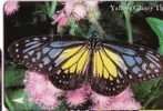 Singapore - Singapour - Butterfly - Papillon - Butterflies - Schmetterling – Papillons - Mariposa - Farfalla - Andere & Zonder Classificatie