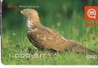 Slovenia Birds - Eagle - Falcon - Bird - Falcons - Eagles - Faucon - Eagle - Pernis Apivorus ( Little Bend , Paper Card) - Eagles & Birds Of Prey