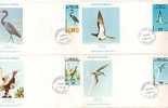 WALLIS ET FUTUNA :   OISEAUX  . 1978 - Other & Unclassified