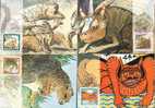 (4) Australia Maxi Cards - Bunyips - Fantasy Creatures - Cartas Máxima