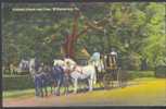 Team Of Four Horses With Carriage, Williamsburg, Va, USA - Autres & Non Classés