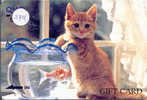 Kat Cat Katze Chat Op Metro Kaart (374) - Gatti