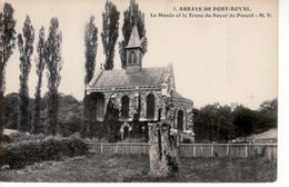 Abbaye De Port-Royal, Musée Et Tronc Du Noyer De Pascal - Magny-les-Hameaux