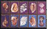 (025) Palau   Shells / Coquillages / Muscheln / Mussels  ** / Mnh  Michel 37-46 - Palau