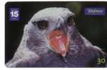 Animal - Fauna - Animals - Birds - Eagle - Falcon - Bird - Falcons - Eagles -  Morphnus Guianensis - Brazil