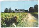 PESSAC , TALENCE , Le Chateau De La MISSION-HAUT-BRION Et Son Vignoble ;TB - Pessac