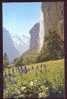 {13498} Carte Postale " Suisse , Lauterbrunnen  " - Lauterbrunnen