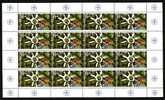 BULGARIE - 1999 - 50y - NATO - M/S Of 16st. - MNH - NAVO