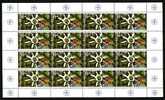 BULGARIE - 1999 - 50y - NATO - M/S Of 16st. - MNH - NATO