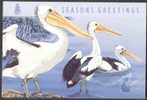 Australia 1994 FDC - Greeting Card - Pelican - Sonstige & Ohne Zuordnung