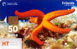 TRANSPARENT Card ZVIJEZDA ( Croatia ) - Starfish – Seestern – Estrella De Mar – Asterie – Etoile De Mer – Stella Di Mare - Peces