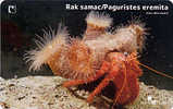 PAGURISTES EREMITA ( Croatia ) - Crab - Crabe - Krabbe - Cangrejo - Granchio ** Fish - Poisson - Pez - Pesci  RAK SAMAC - Peces