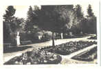 23 - Guéret - Le Jardin Public - CPSM 1946 - Ed Cap N° 145 - Guéret