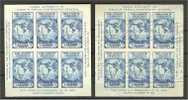 USA - NICE GROUP SHEETLETS AND SHEETLET STAMPS - Blocs-feuillets